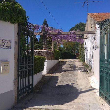 Hostal Casa Dos Arrabidos Torres Novas Exterior foto
